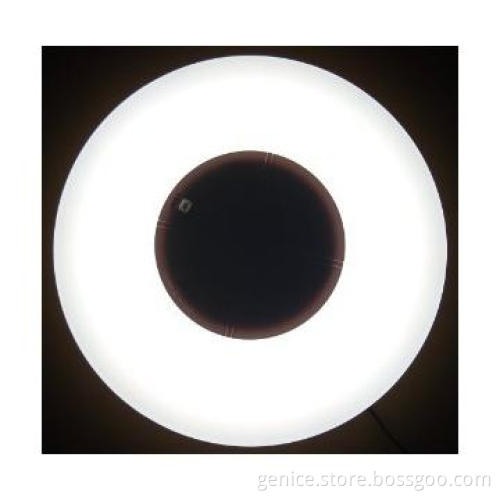 remote control LED ceiling light with sleep mode and night light